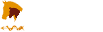 Startseite